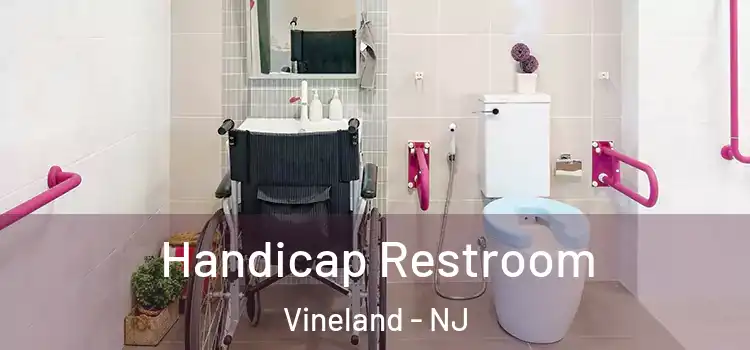  Handicap Restroom Vineland - NJ
